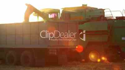 Harvester is Unloading Grain to the Truck and Lens Flare