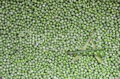 Peas background