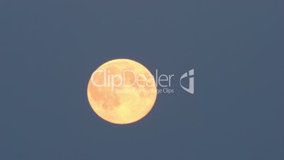 Tele shot of the supermoon