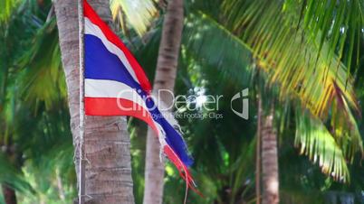waving ripped flag of thailand against palm trees