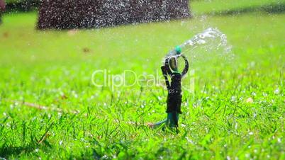 water jet sprinkling green grass close-up