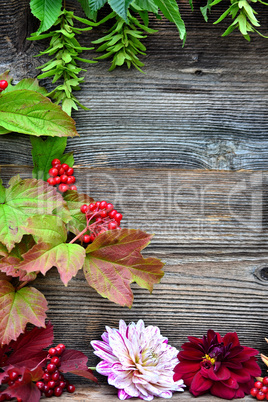 rote Beeren Holz Hintergrund