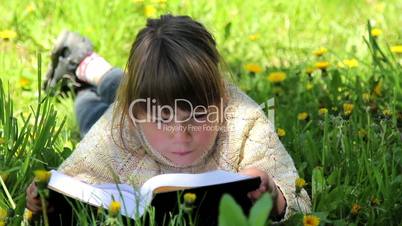 Boy reading a book ,Child reading a book in the park