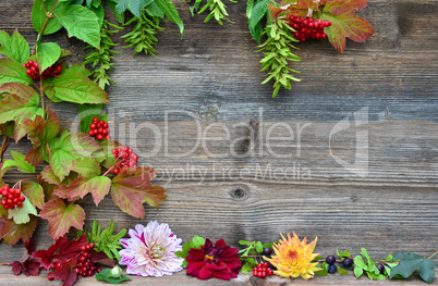 rote Beeren Holz Hintergrund