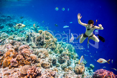 Snorkeler Maldives Indian Ocean coral reef.