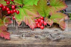 rote Beeren Herbst Holz Hintergrund