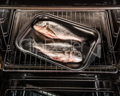 Dorado fish in the oven.