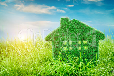House on the green grass