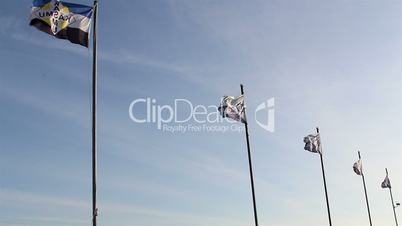Five waving flags on the pole