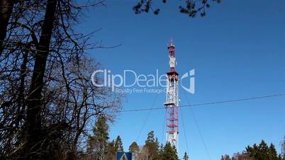 GSM mobile tower at the middle of the forest