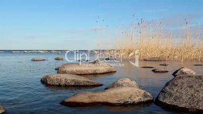 Some rocks and reeds on the water