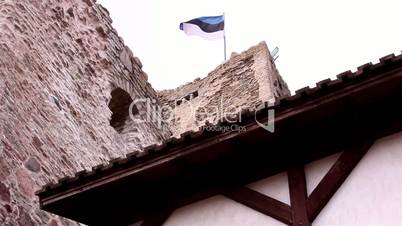 The castle tower with a flag