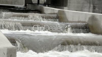 Water rushing from a fish ladder