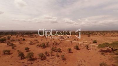 Aerial shot of Savanna from a height of 10 meters.