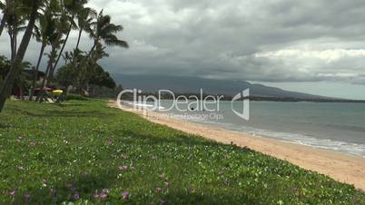 idyllic sugar beach at maui island hawaii