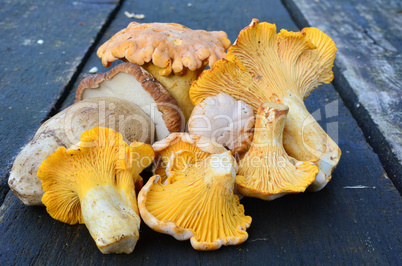 Mushrooms on the table