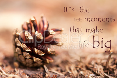 Fir Cone with Saying Its the little Moments that make Life Big