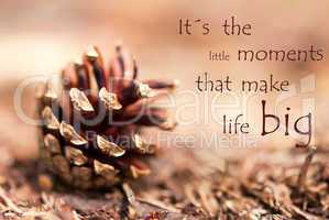 Fir Cone with Saying Its the little Moments that make Life Big