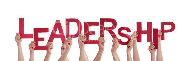 Hands Holding Leadership