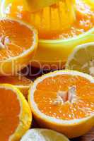 Orangen und Zitronen mit einer Zitruspresse