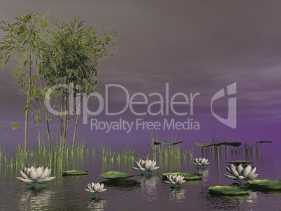 Bamboo and lily flowers - 3D render