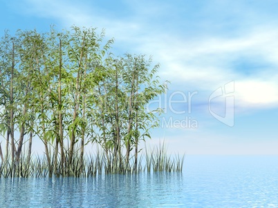 Bamboo and grass - 3D render