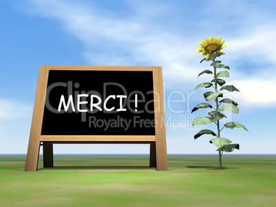 Sunflower blackboard saying thank you in french - 3D render
