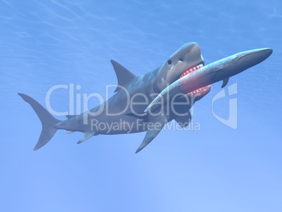 Megalodon shark eating blue whale - 3D render