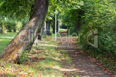 in the park