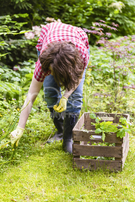 Gartenarbeit, Gardening
