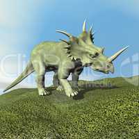 Styracosaurus dinosaur - 3D render