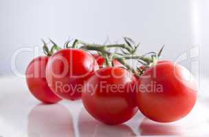 tomaten/paradeiser