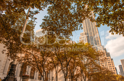 Trees of fifth avenue. New York public library and street skyscr