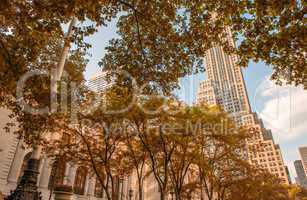 Trees of fifth avenue. New York public library and street skyscr