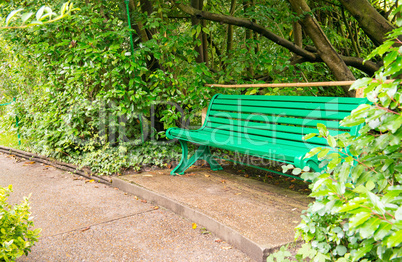 Isolated bench in the middle of a Park