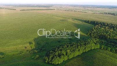 Flying over fields and forest