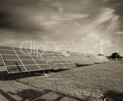 Solar panels on a countryside field with sunny sky