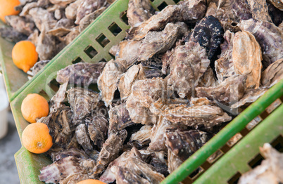 Fresh oysters of Cancale in Brittany, France