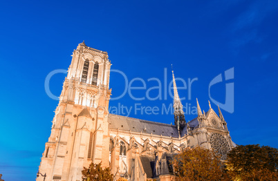 Notre Dame at night, Paris. Stunning view of cathedral at summer