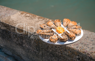 Fresh oysters of Cancale in Brittany, France
