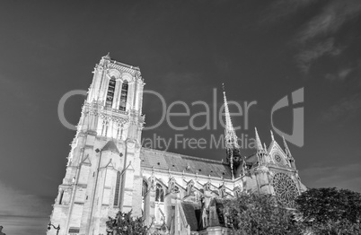 Notre Dame at night, Paris. Stunning view of cathedral at summer