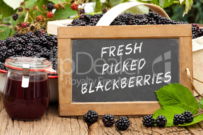 Tafel mit Text: Fresh Picked Blackberries, vor Brombeeren