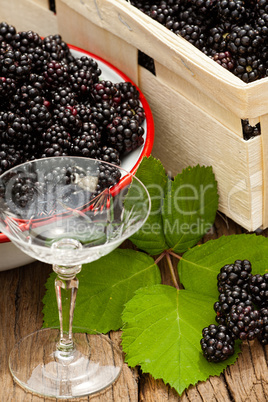 Erntefrische Waldbrombeeren und ein Likörglas