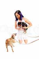 Woman playing with dog's.