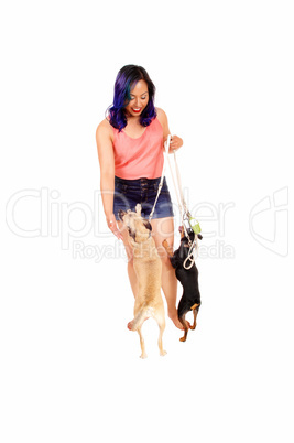 Woman holding her dog's.