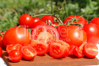 Tomaten