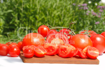 Tomaten