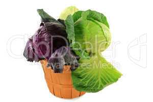 Heads red, green, and white flat cabbage in bushel