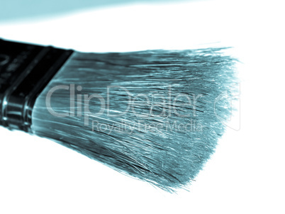 Brush picture