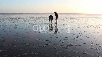 Kinder im Wattenmeer